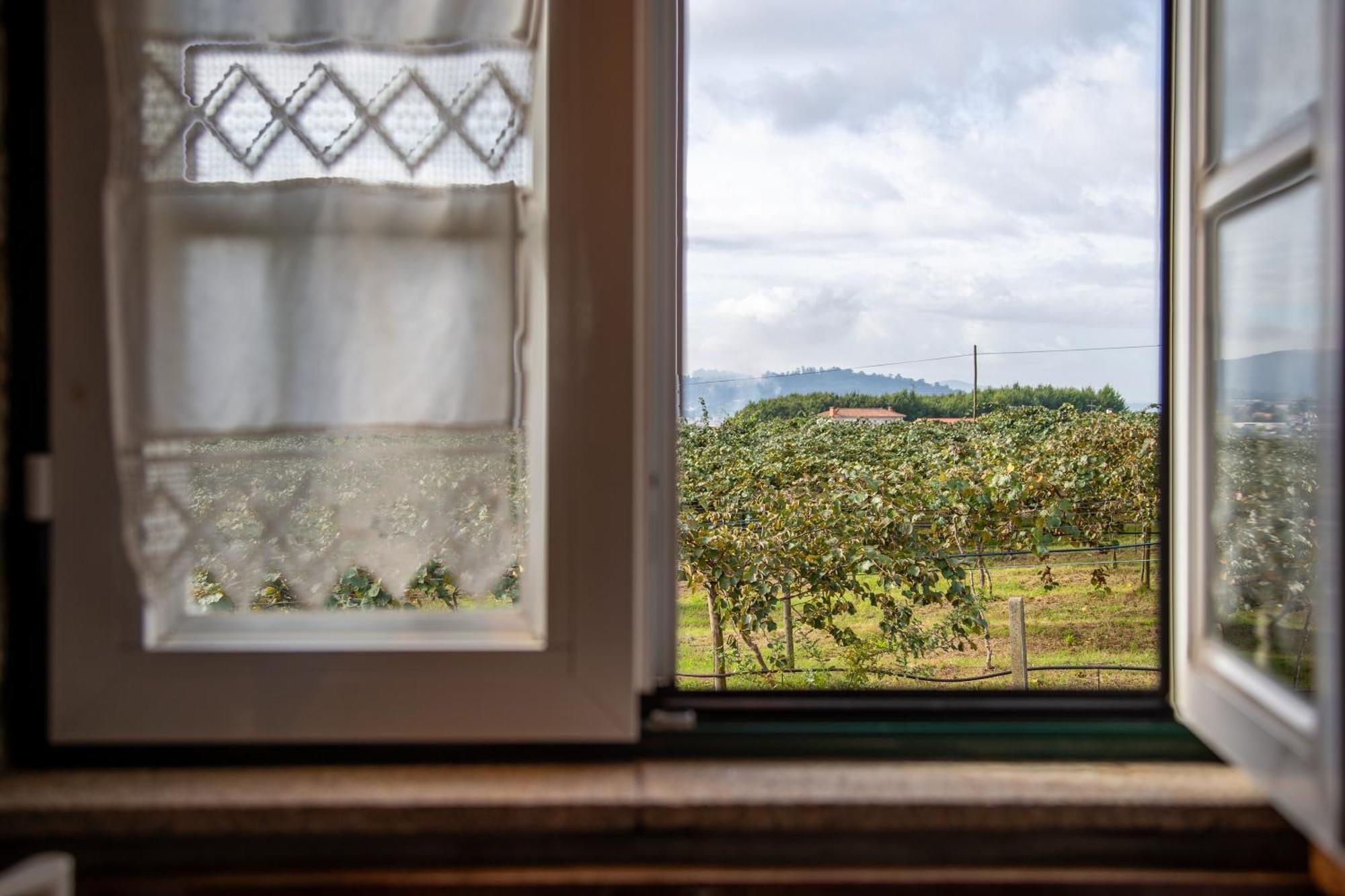 Quinta Do Carvalhal Alojamento, Penafiel Irivo Dış mekan fotoğraf